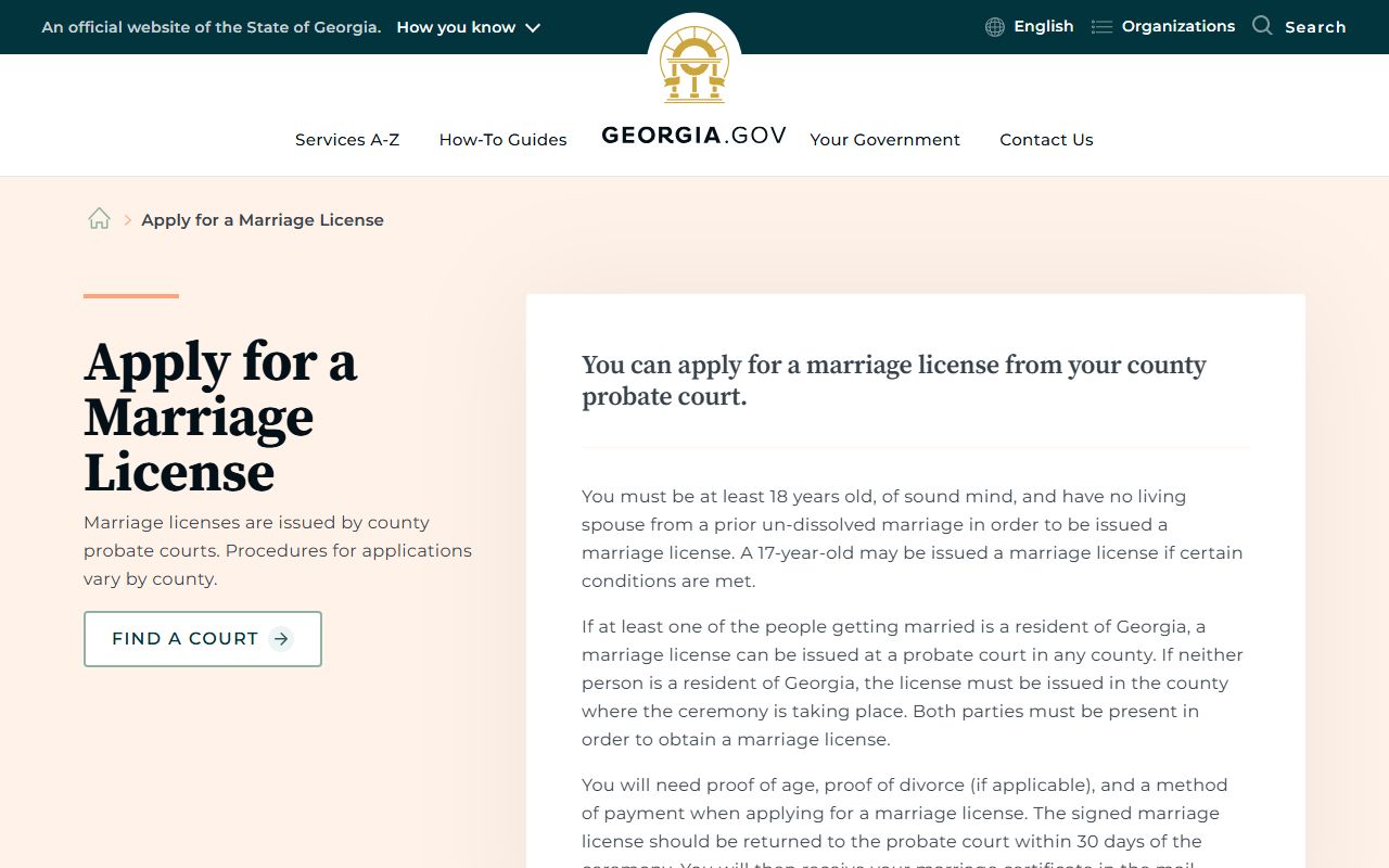 Georgia.gov marriage license application guide